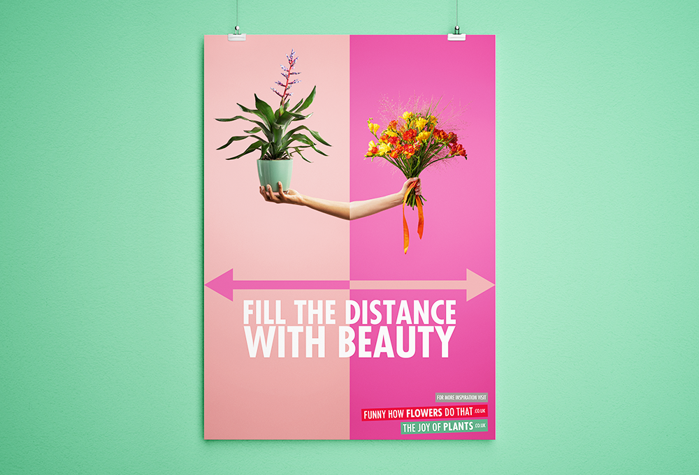 Flower Council Holland Shop Around